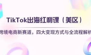 TikTokΣ羳Ĵַʽȫ̽