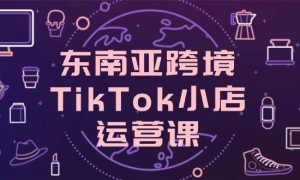 ǿ羳TikTokСӪΣյתļ