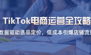 TikTokӪȫԣѡƷۣͳɱ