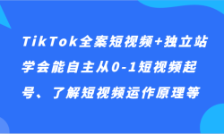 TikTok全案短视频+独立站，学会能自主从0-1短视频起号、了解短视频运作原理